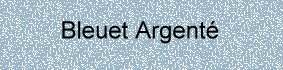 Farbe_bleuet-argente_gerbe