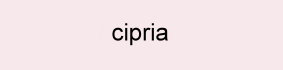 Farbe_cipria_omero