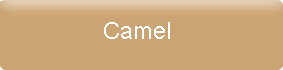 Farbe_camel