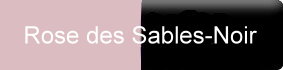 Farbe_rose-des-sables-noir_gerbe